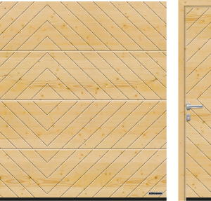 Model 402, Kuzey Çamı